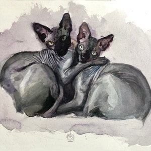 Puede incluir: Pintura acuarela de dos gatos sin pelo acurrucados juntos. Los gatos son grises y tienen ojos verdes. El fondo es una lavada de acuarela de color púrpura claro.