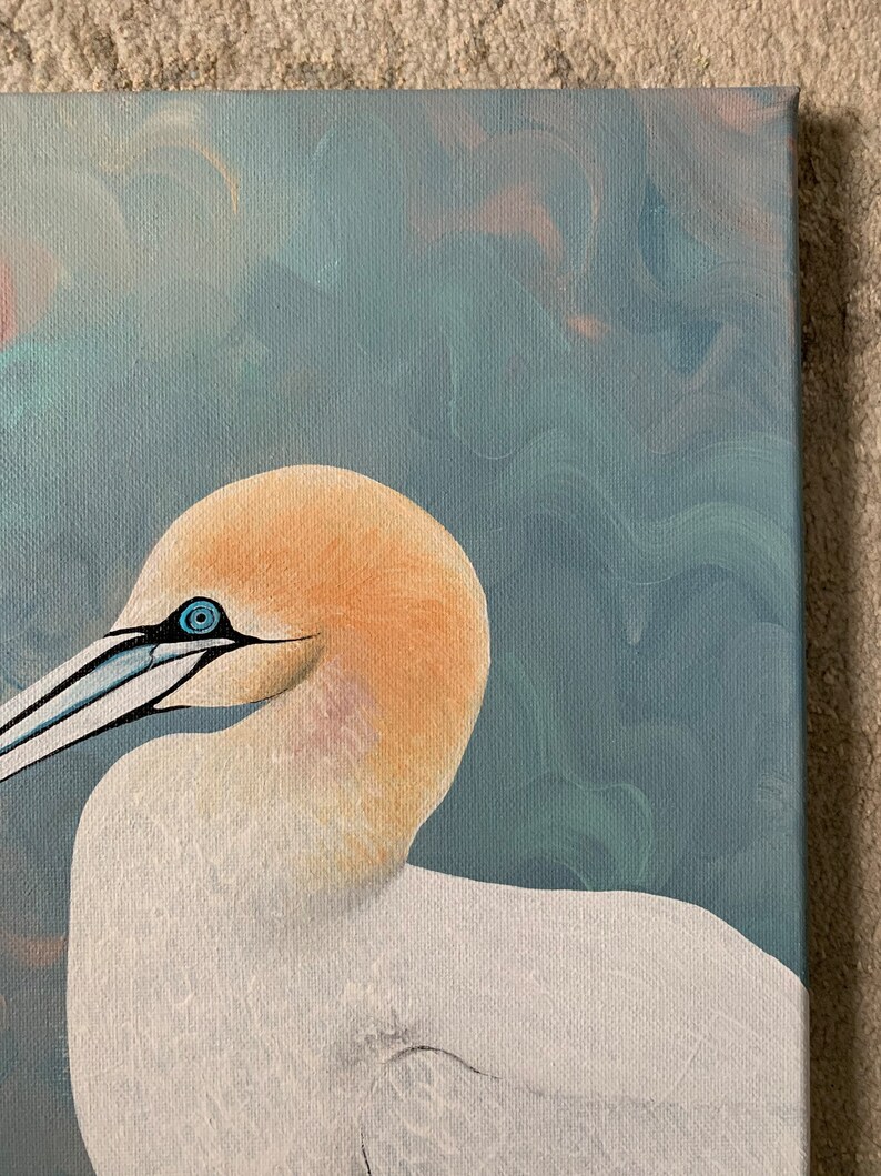 Northern Gannet, Acrylic Bird Painting - Etsy