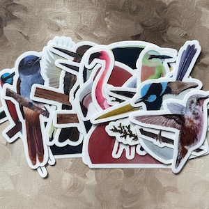 BIRD Vinyl Sticker Pack (x16) • Vinyl Bird Stickers • Nature Stickers • Scrapbook Stickers • Water Resistant and Weatherproof