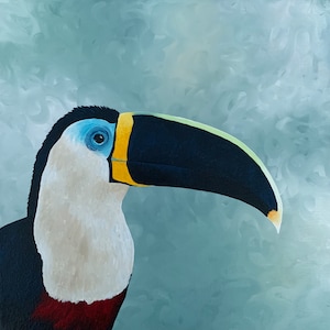 White-throated Toucan, limited edition print