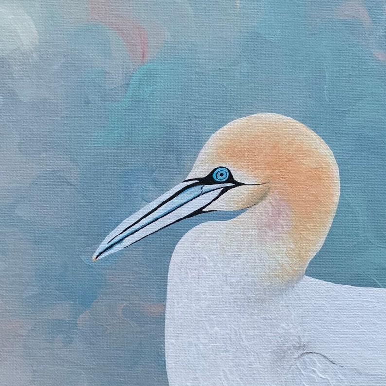 Northern Gannet, Limited Edition Print - Etsy