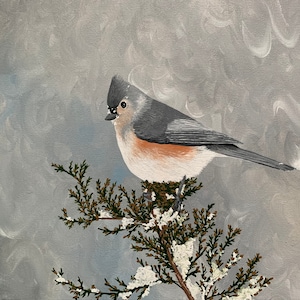 Tufted Titmouse, limited edition print