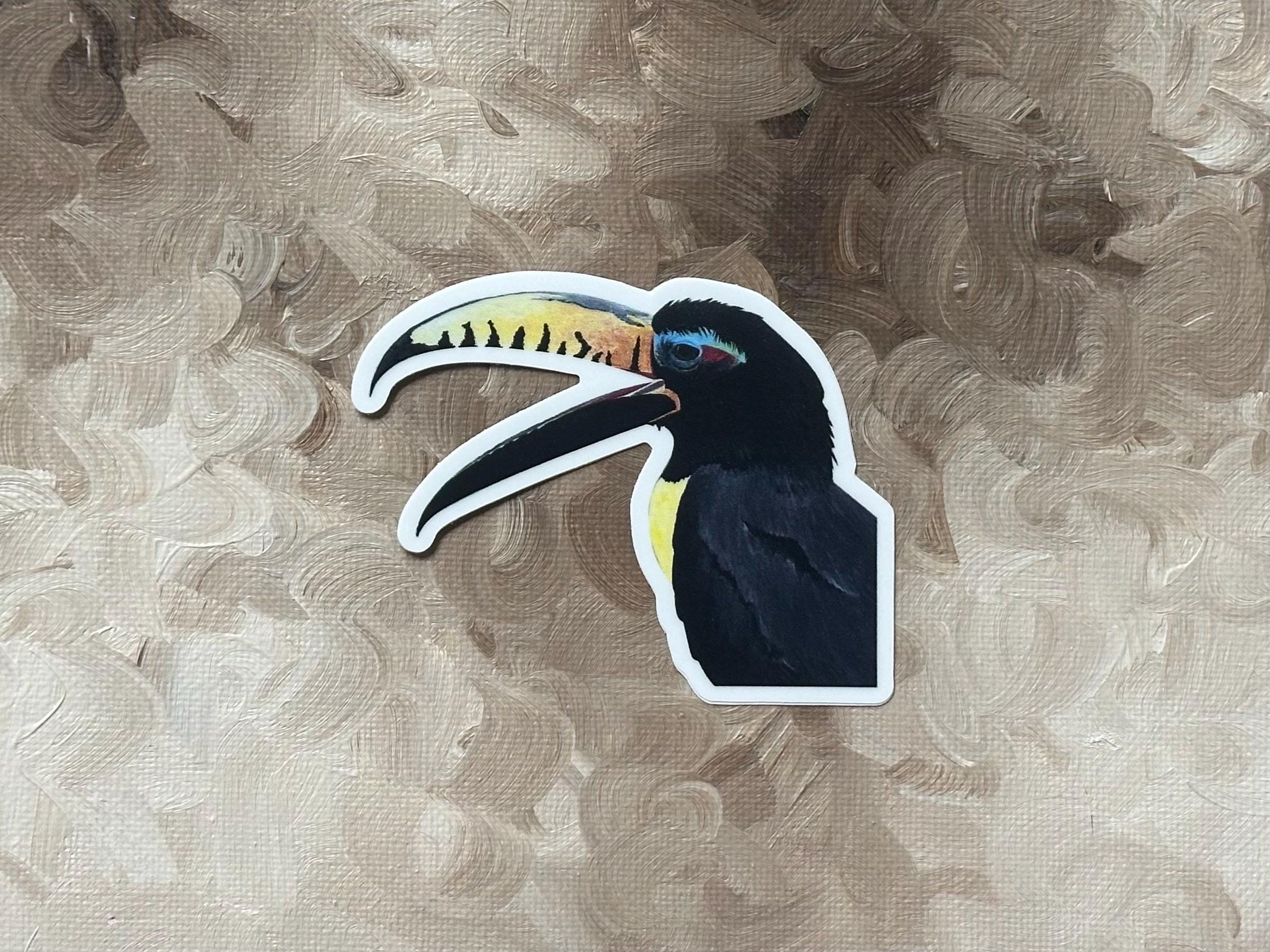 BIRD Vinyl Sticker Pack (x16) • Vinyl Bird Stickers • Nature Stickers ...