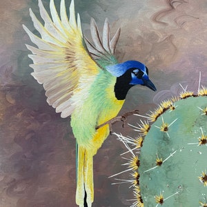 Green Jay, limited edition print