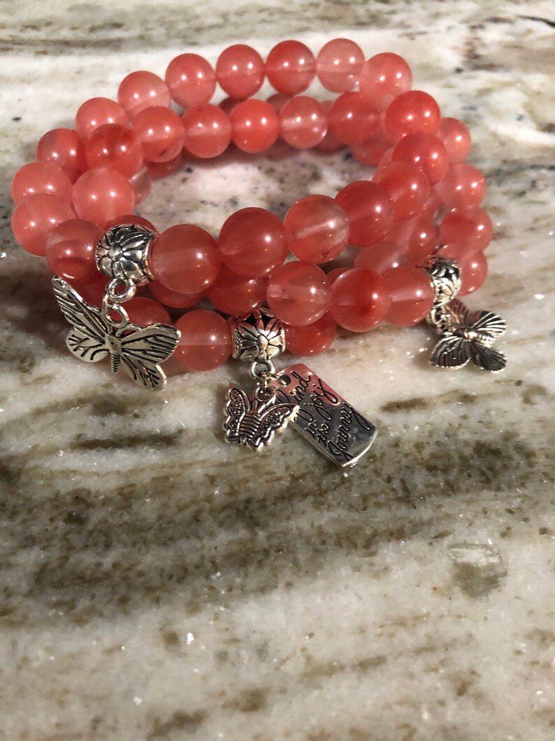 Butterfly Journey