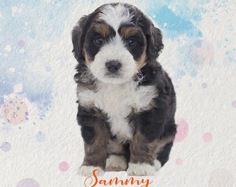 Watercolor Pet Portrait From Photo Custom Dog Portrait Personalized Dog Gift Pet Memorial Photo for Dog Loss Memorial Pet Painting
