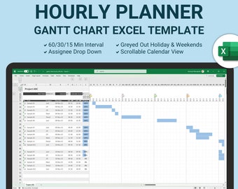 Project Management Hourly Schedule Template, Gantt Chart Excel Template,  Excel Spreadsheet Template, Daily Schedule By Hour