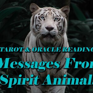 What is your Spirit Animal + Message! - Tarot + Oracle Reading