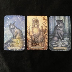 How do they feel about/think of you Advice Tarot Reading image 5