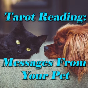 Messages from your Pet Tarot Card Reading image 1