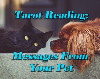 Messages from your Pet - Tarot Card Reading