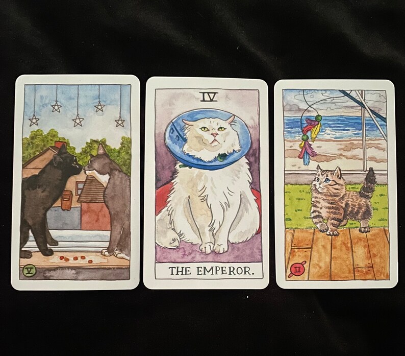 Messages from your Pet Tarot Card Reading image 6