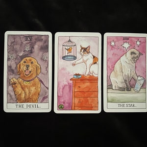 Messages from your Pet Tarot Card Reading image 7