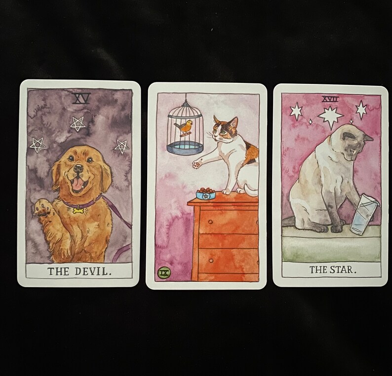 Messages from your Pet Tarot Card Reading image 7