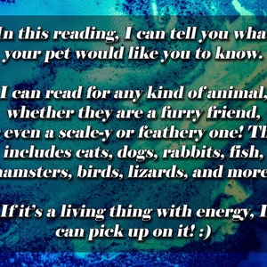 Messages from your Pet Tarot Card Reading image 3