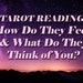 see more listings in the Love Readings section