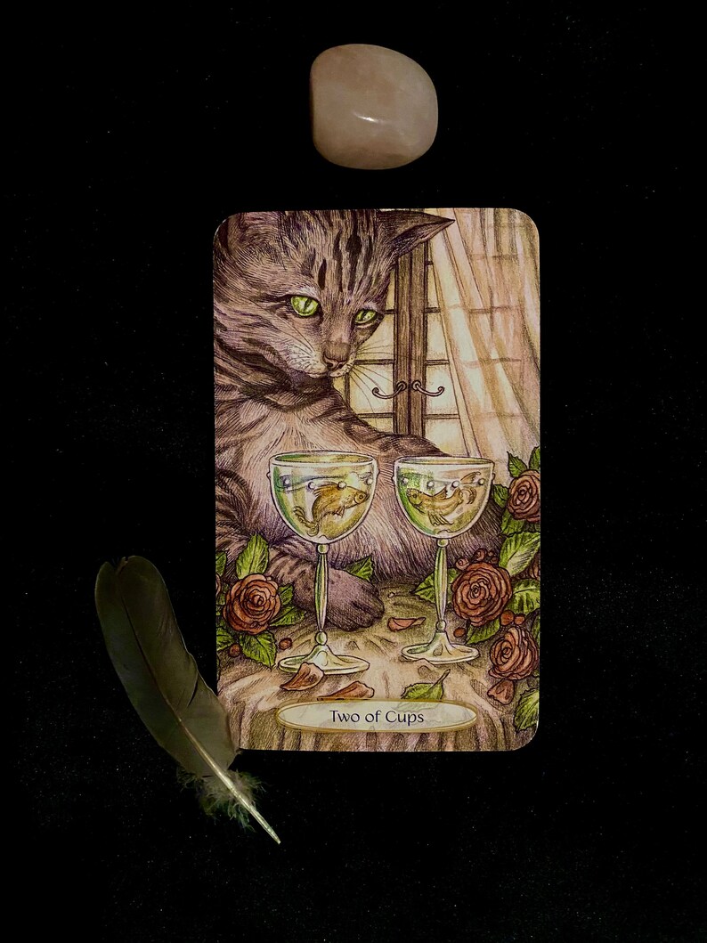 Detailed Yes or No Tarot Reading What is the potential of.. image 4