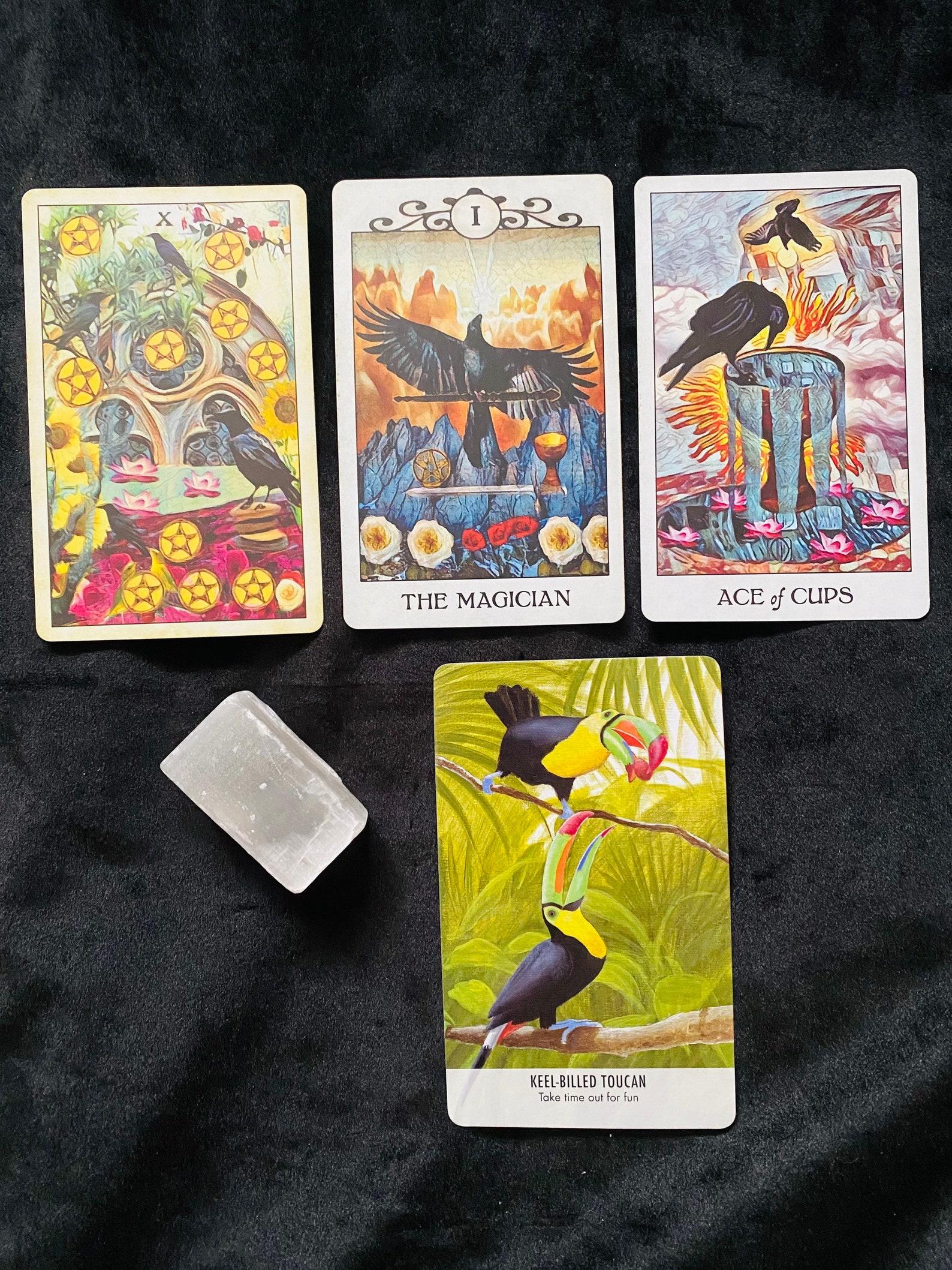 Messages From Your Bird Guides Tarot Oracle Reading Etsy