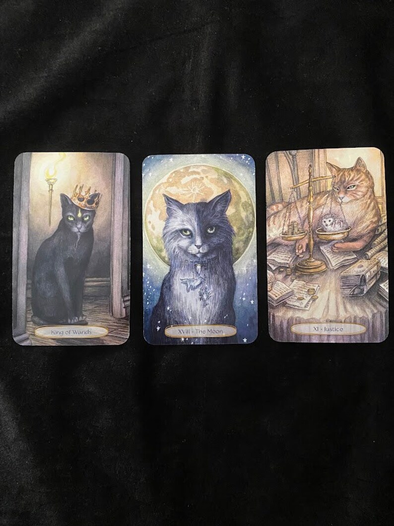 How do they feel about/think of you Advice Tarot Reading image 4