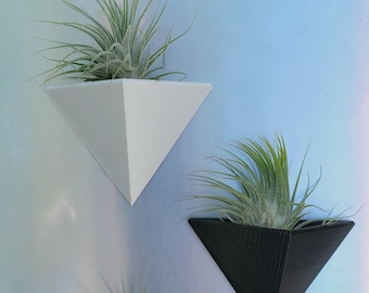 Magnetic Air Plant Holder