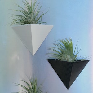 Magnetic Air Plant Holder