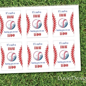 Sports Tags/ Treat Tags/ Kids/ Baseball/ Team/ Treat/ Snacks/ Instant Print/ Teamwork/ Friendship/ Treat Tags/ Party Tags/ Digital Download