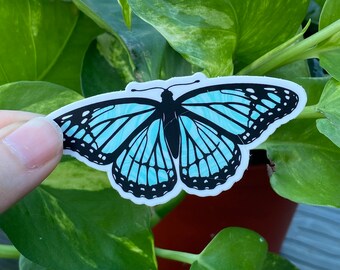 Turquoise Butterfly, Vinyl Sticker, nature Stickers, Student Viny, Car Sticker, Laptop Sticker, Hydroflask Sticker, monarch butterfly