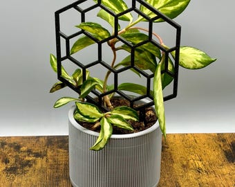 Indoor Plant Trellis - Honeycomb Hexagon 3D Printed Plant Support Stake - Houseplant Trellis for Hoya Pothos Monstera - Multiple Colors