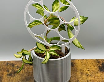 3D Printed Circular Plant Trellis, Indoor Climbing Plant Support, Potted Vine Holder - Multiple Colors