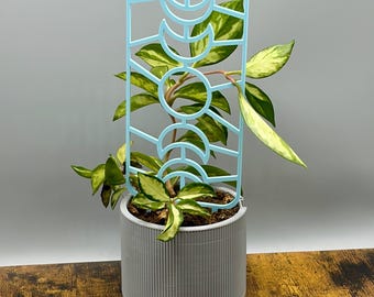 Moon Phase Plant Trellis | Climbing Houseplant Support Stake | Boho Plant Decor - Multiple Colors