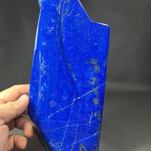 May include: A polished, irregularly shaped lapis lazuli stone. The deep blue stone features gold-colored pyrite inclusions and white veining. The stone is held by a hand, showcasing its size and texture. The stone has a smooth, reflective surface.