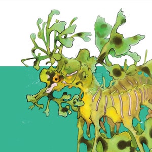 Leafy Sea Dragon