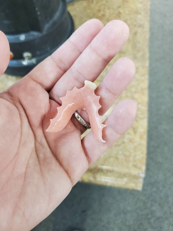 Custom Flipper Denture 1 to 2 teeth Etsy