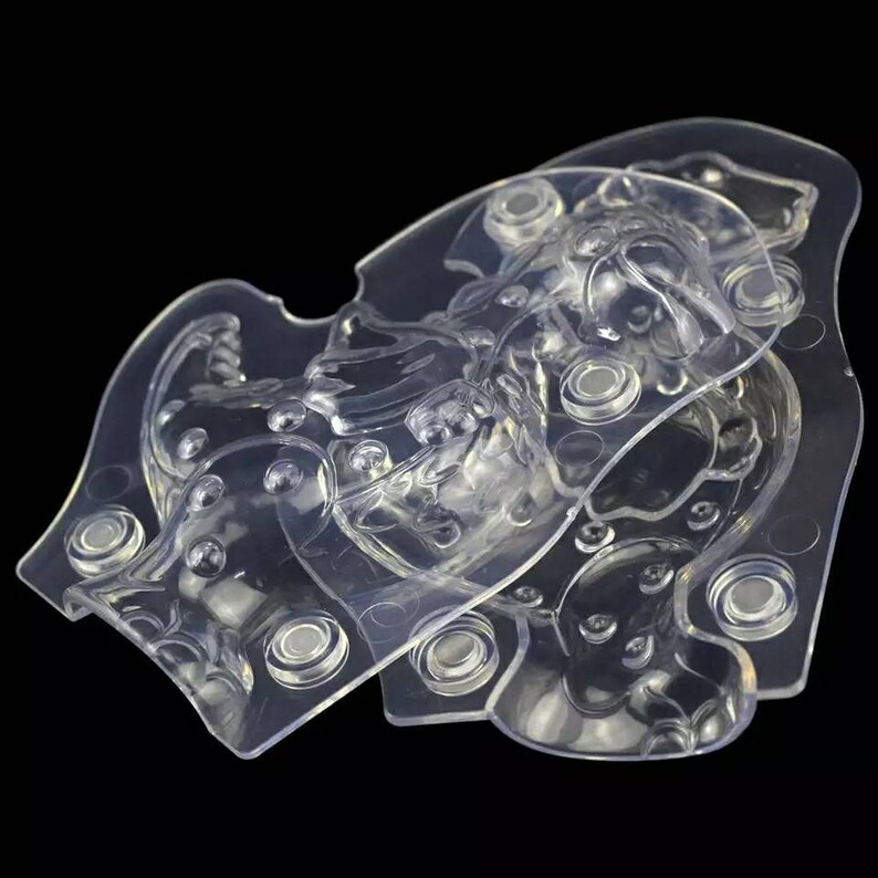 NEW! 3D Magnetized Polycarbonate Dinosaur Mold