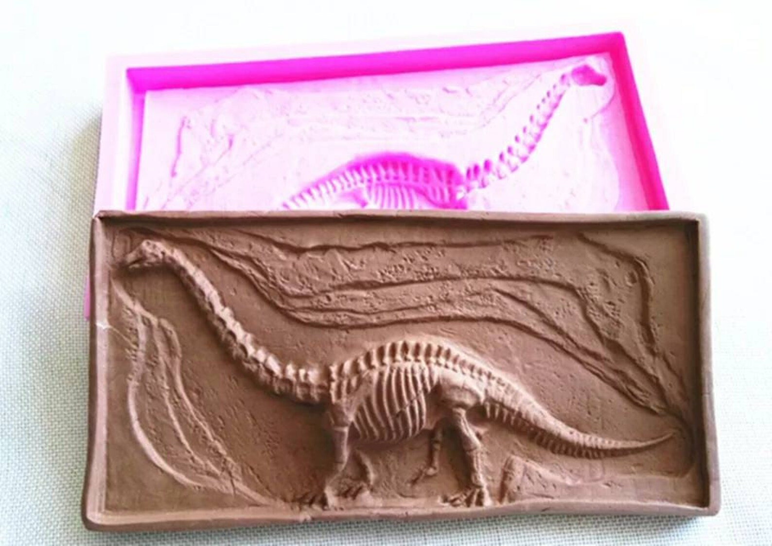 large dinosaur fossil mold