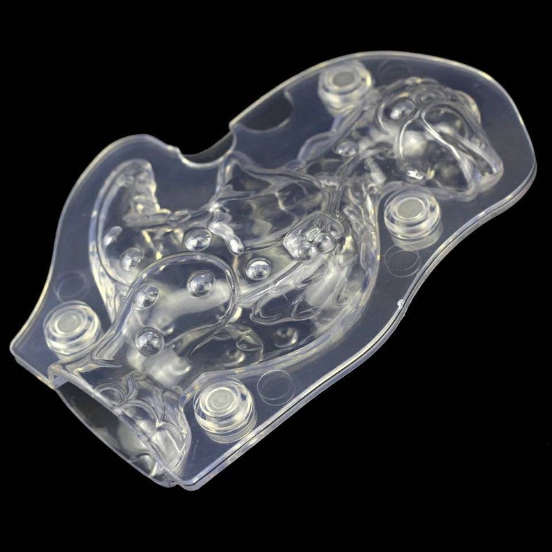 NEW! 3D Magnetized Polycarbonate Dinosaur Mold