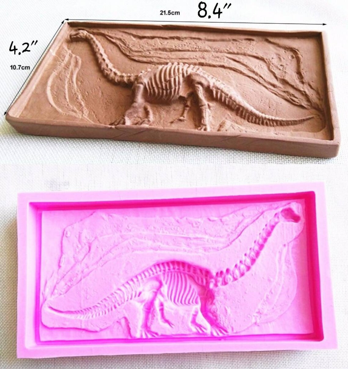 large dinosaur fossil mold