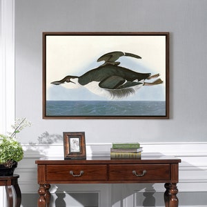 Peut inclure: Une estampe encadrée d'un oiseau noir et blanc en vol au-dessus d'une mer bleue. L'oiseau a un long bec pointu et un ventre blanc. L'estampe est encadrée dans un cadre en bois brun foncé.