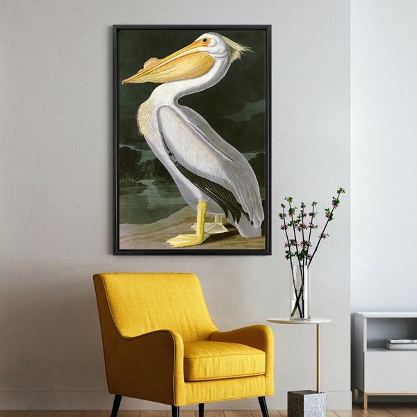 John James Audubon, American White Pelican,The Birds of America,canvas print,canvas art,canvas wall art,large wall art,framed wall art,p2271