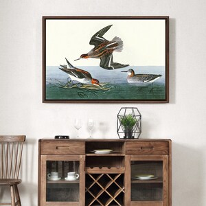 May include: A vintage illustration of three birds on a blue and green water background. The birds are brown, white, and gray with red accents. The illustration is framed in a brown wood frame.
