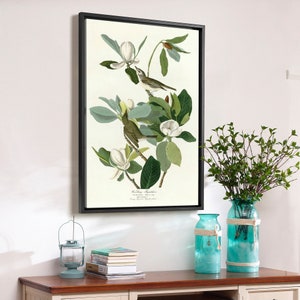 John James Audubon, Warbling Flycatcher,The Birds of America,canvas print,canvas art,canvas wall art,large wall art,framed wall art,p2488