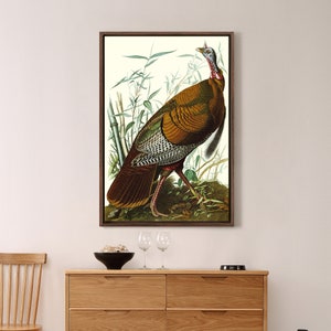 John James Audubon,1 Wild Turkey,The Birds Of America,Canvas Print,Canvas Art,Canvas Wall Art,Large Wall Art,Framed Wall Art,P2512