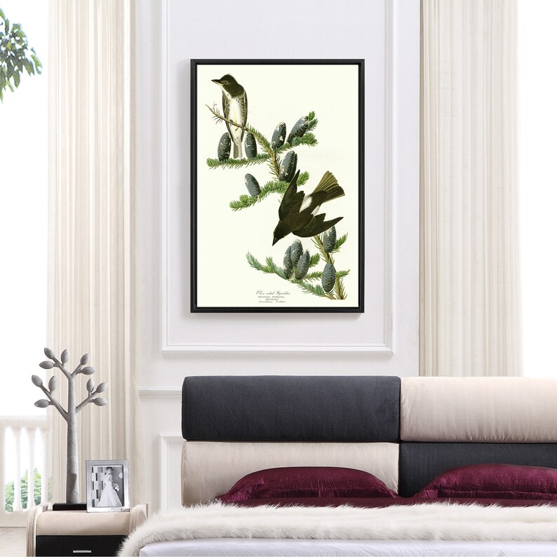 Olive sided Flycatcher,The Birds of America,canvas print,canvas art,canvas wall art,large wall art,framed wall art,p2422 John James Audubon