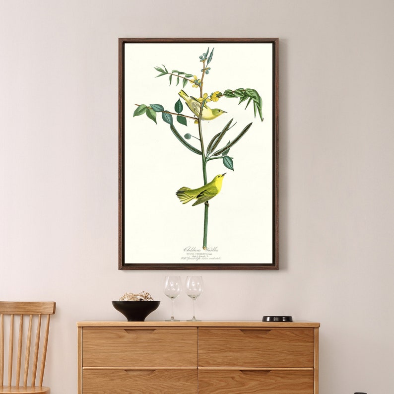 John James Audubon Children/'s Warbler,The Birds of America,canvas print,canvas art,canvas wall art,large wall art,framed wall art,p2329