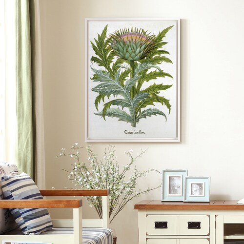 German School,The shops Cardoon, From The Hortus Drawing,large wall art,framed wall art,canvas wall art,large canvas,M5845