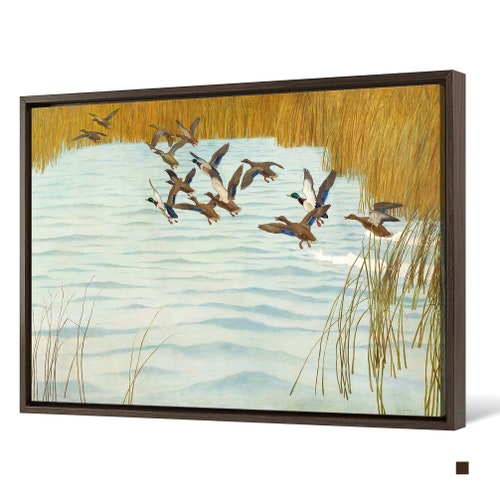 Newell Convers Wyeth,Mallards in shops Autumn,large wall art,framed wall art,canvas wall art,large canvas,M4660