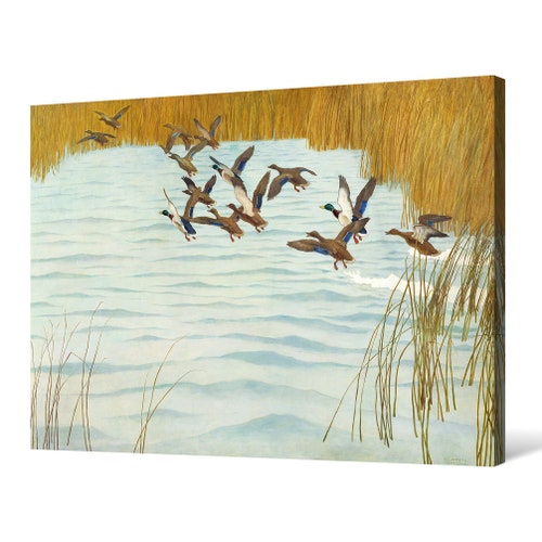 Newell Convers Wyeth,Mallards in shops Autumn,large wall art,framed wall art,canvas wall art,large canvas,M4660