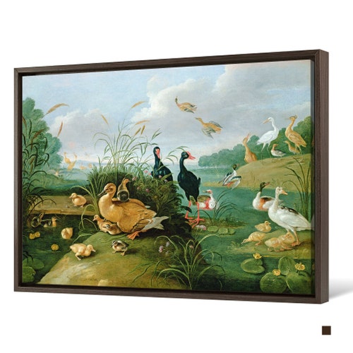 Jan van, the Elder Kessel,Decorative Fowl And Ducklings Photograph,large wall art,framed shops wall art,canvas wall art,large canvas,M4263