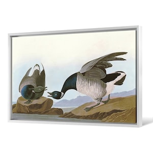 iCanvas United States Geese in Flight by John James Audubon