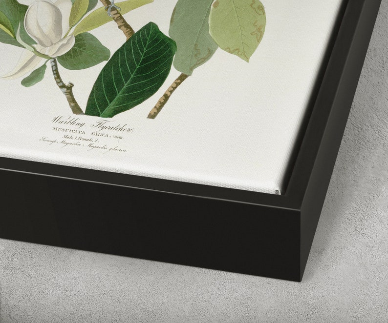 John James Audubon Warbling Flycatcher,The Birds of America,canvas print,canvas art,canvas wall art,large wall art,framed wall art,p2488